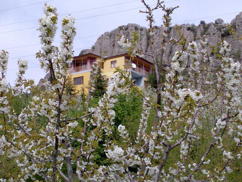 Aladag Dag Otel 外观 照片